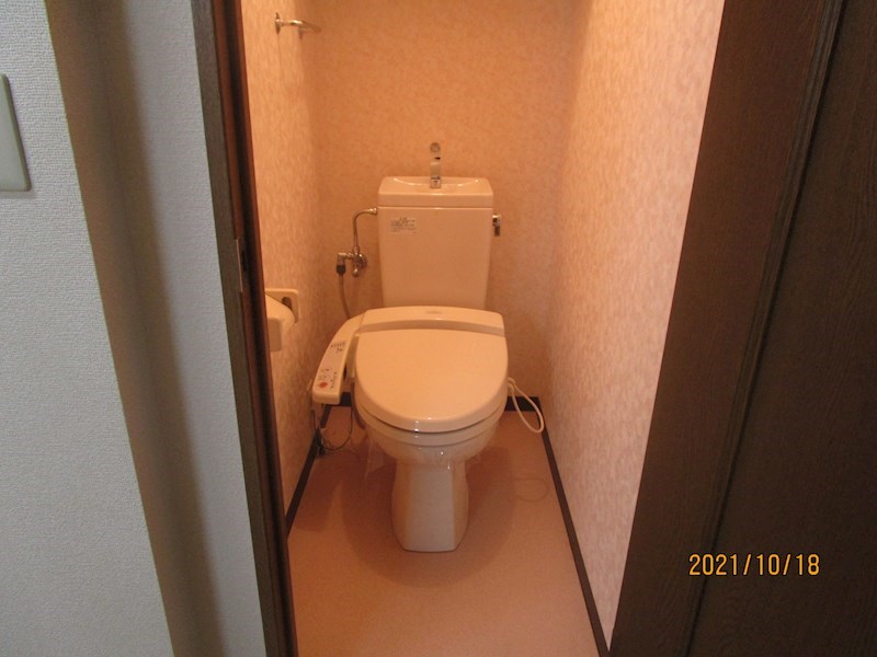 マスカット・Ｇ その他26