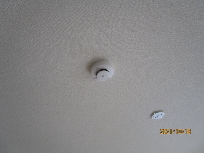 マスカット・Ｇ その他29