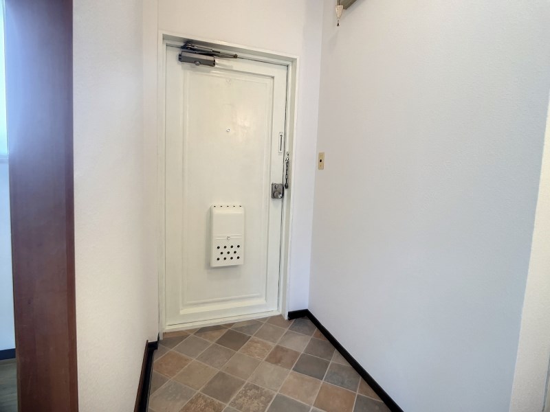 メゾン入野 玄関