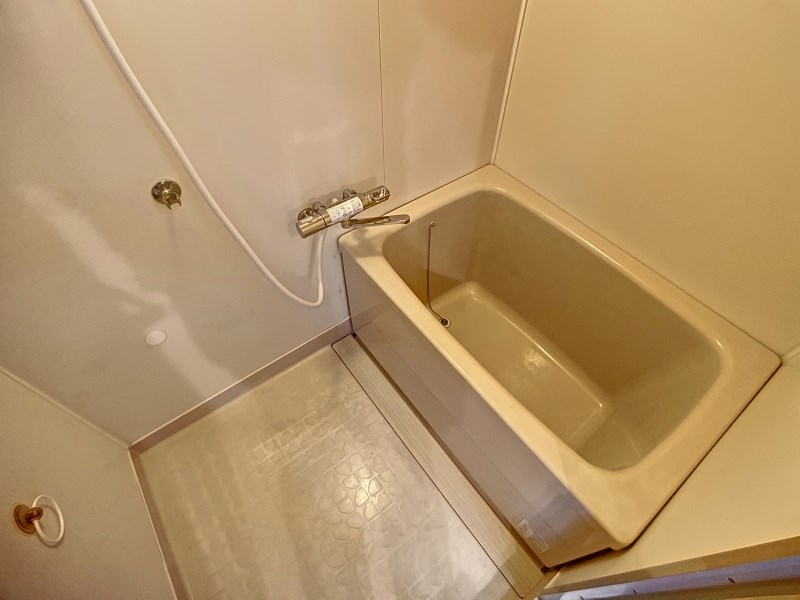 メゾン入野 風呂画像