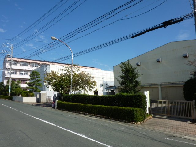 Gon・Crow（ゴンクロウ） その他16