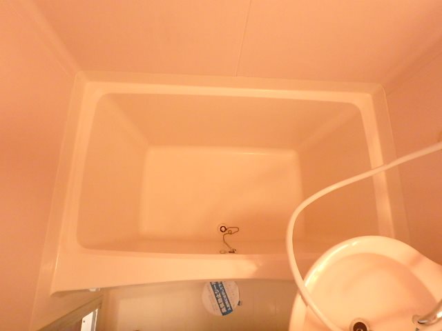 スカイロイヤル12  その他22