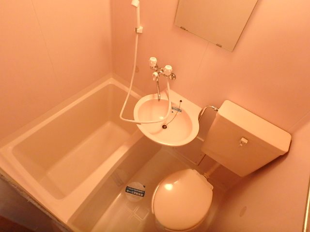 スカイロイヤル12  風呂画像