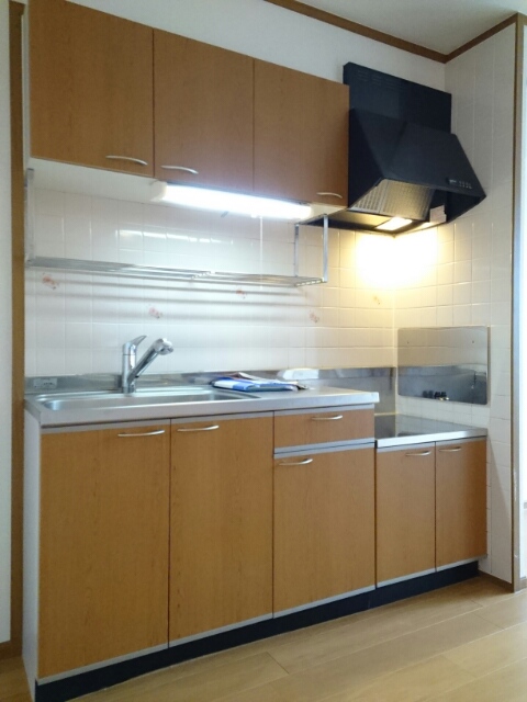 サウスエレガンス　ハギオカ キッチン