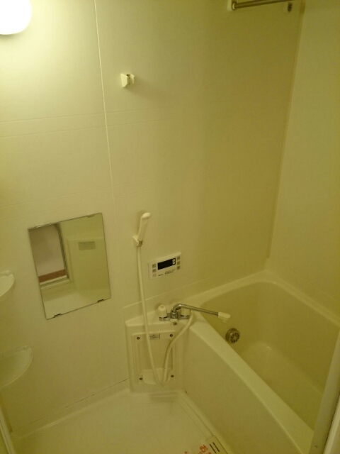 サウスエレガンス　ハギオカ 風呂画像