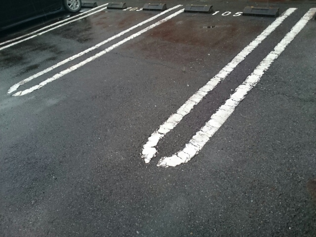 アラヤフラット その他6