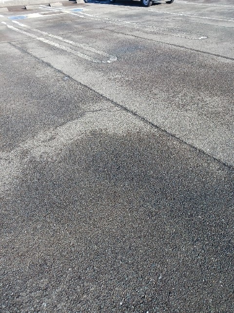 セントラルガーデン その他4