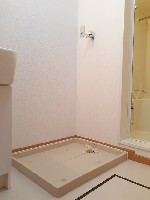 ピュア　ミキ　Ｃ その他1