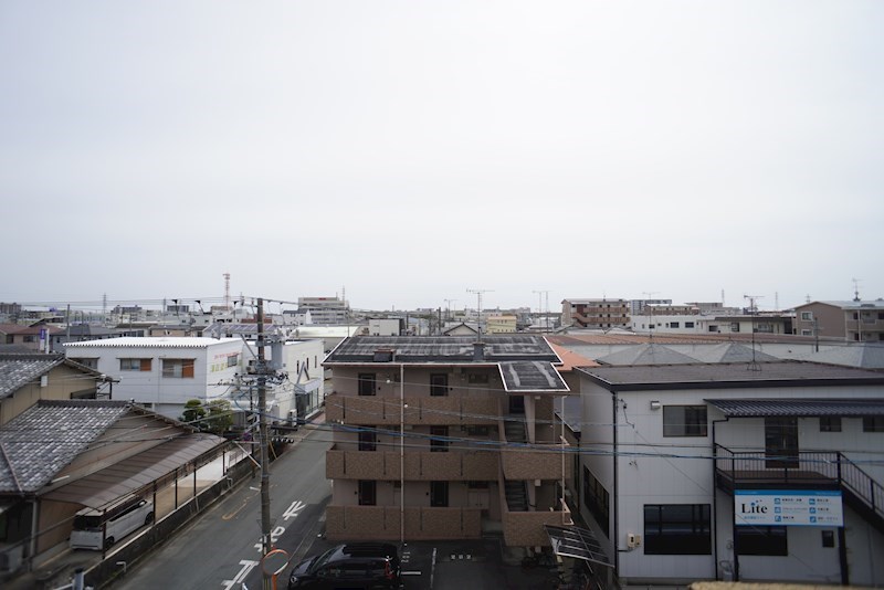 バンブーリーヴスⅢ その他6