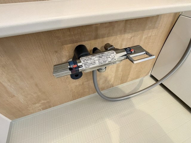 セレスティア その他38