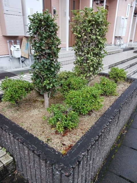 グランシャリオＢ その他5