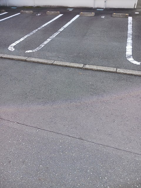 マイ　ライフ その他4