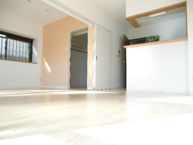 エルドラードⅡ その他9