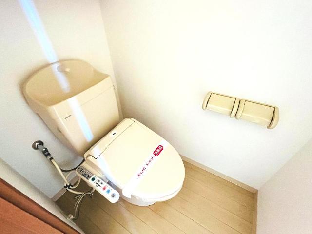 プリマベーラ　B・H－Ⅱ その他2