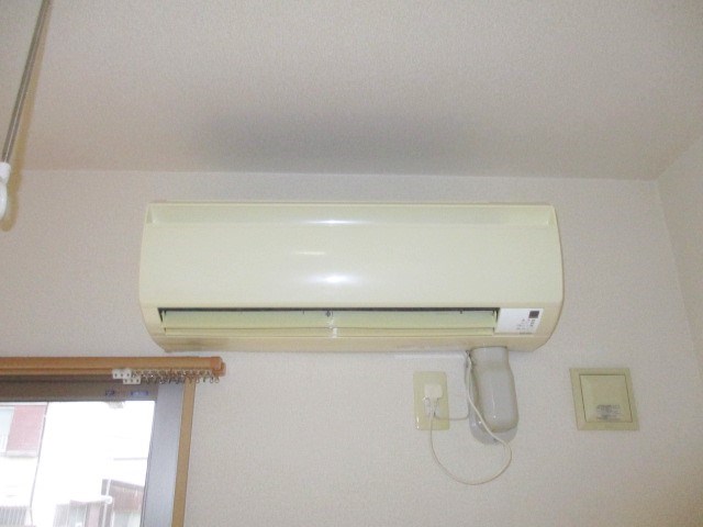 Felice gatto Wada（フェリスガトーワダ） その他1