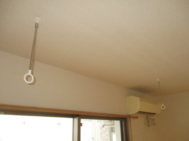 Felice gatto Wada（フェリスガトーワダ） その他10