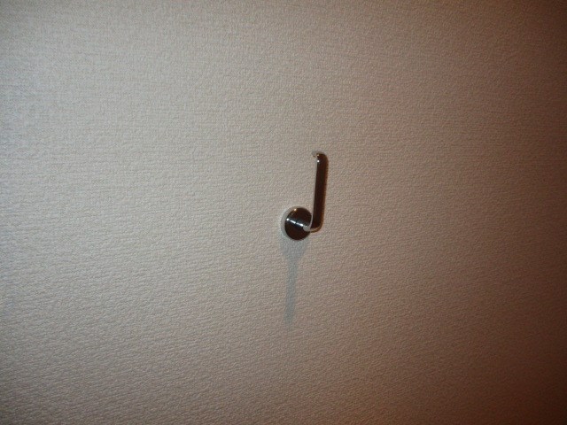 Felice gatto Wada（フェリスガトーワダ） その他17