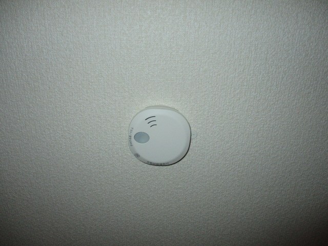 Felice gatto Wada（フェリスガトーワダ） その他23