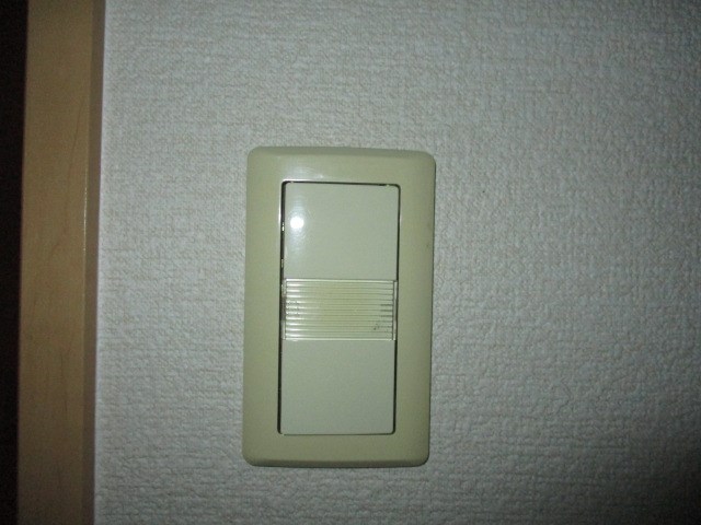 Felice gatto Wada（フェリスガトーワダ） その他24