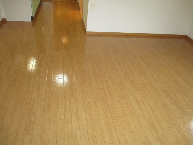 Felice gatto Wada（フェリスガトーワダ） その他33