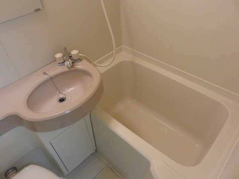 カトレアⅡ その他2