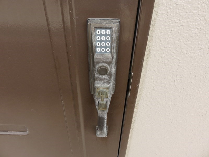 カトレアⅡ その他4