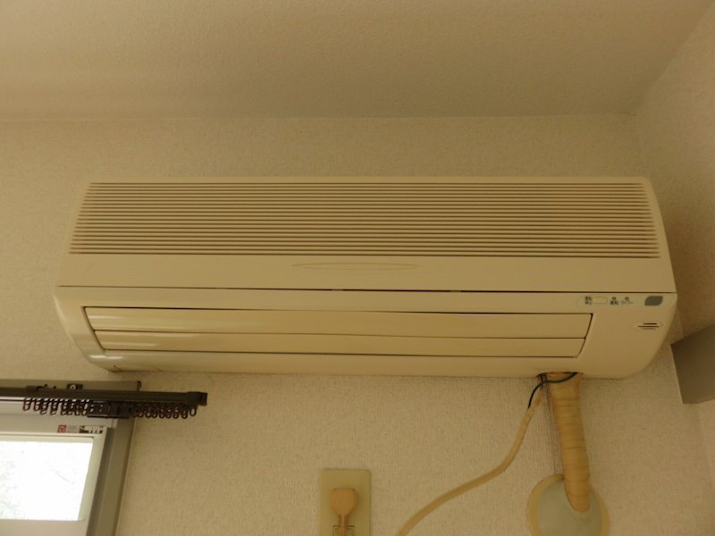 カトレアⅡ その他5