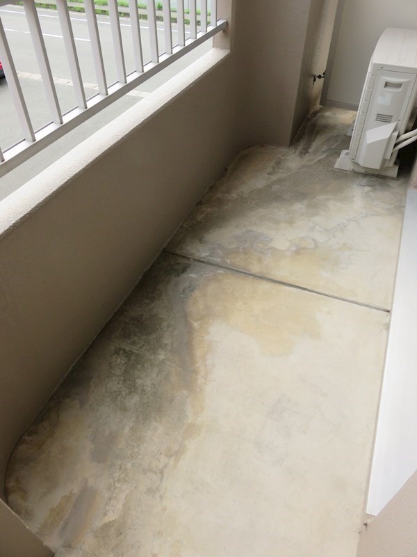 カトレアⅡ ベランダ