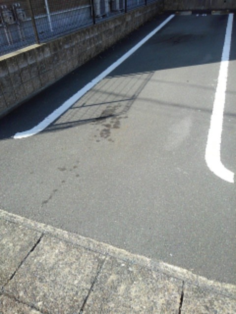 セイコーⅢ その他4