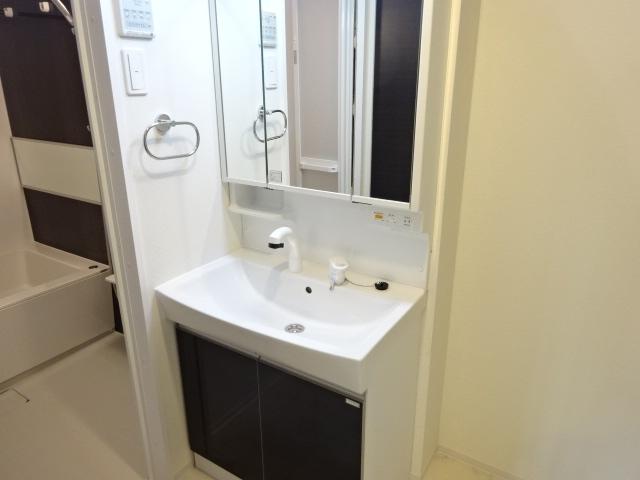 プルメリア その他2