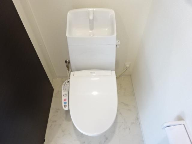 プルメリア その他3