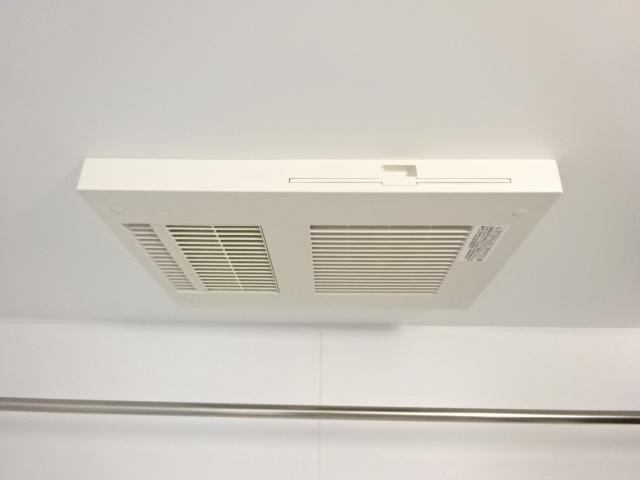 プルメリア その他4