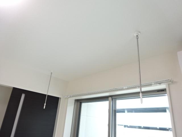 プルメリア その他6