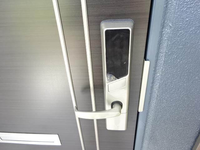 プルメリア その他8