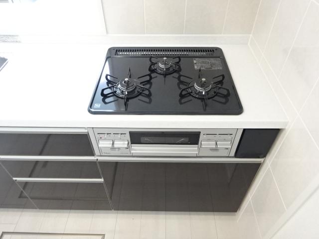 プルメリア その他13