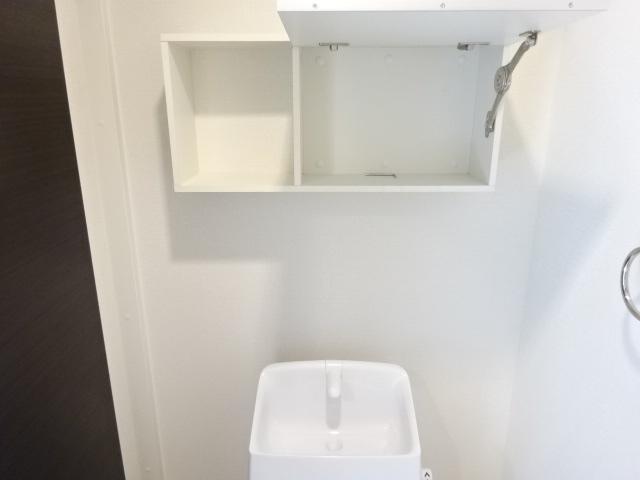 プルメリア その他16