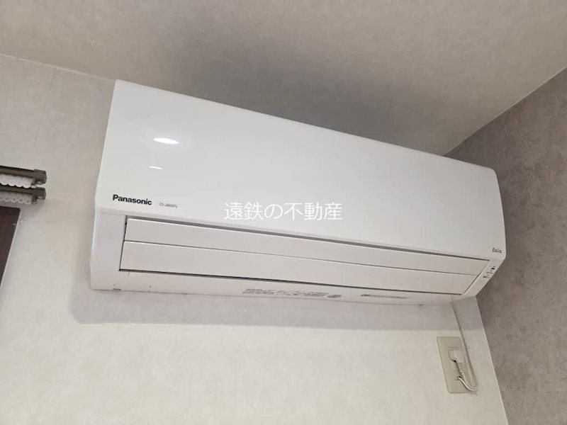 アーリーバード A その他12