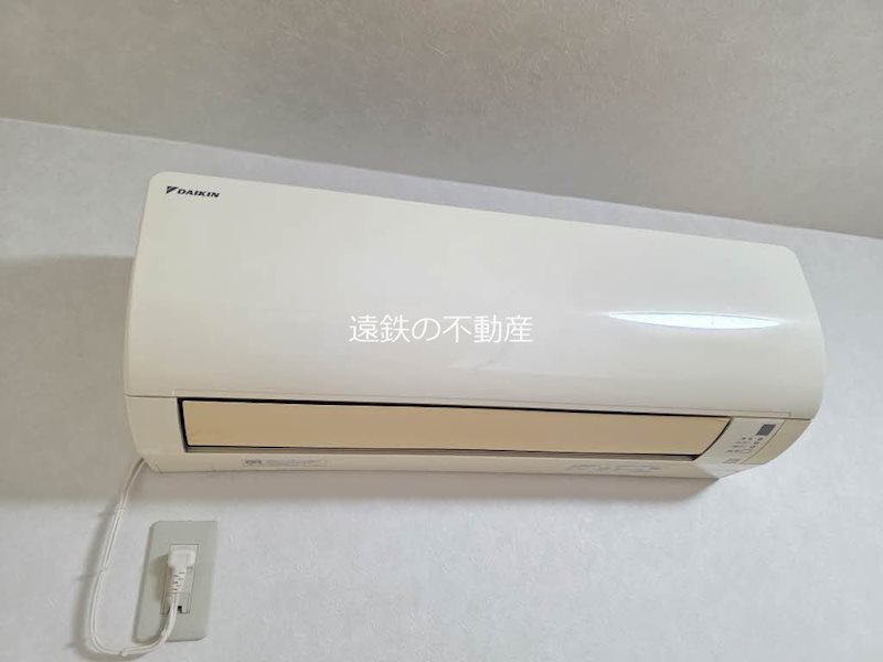 アーリーバード A その他13