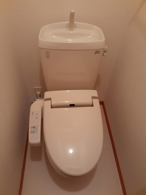 Ｌｉｖｅｒｔｙ　ｄｒｅａｍ　Ⅶ その他2