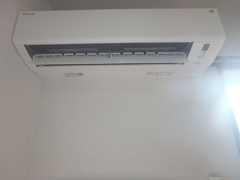 ステラ その他1