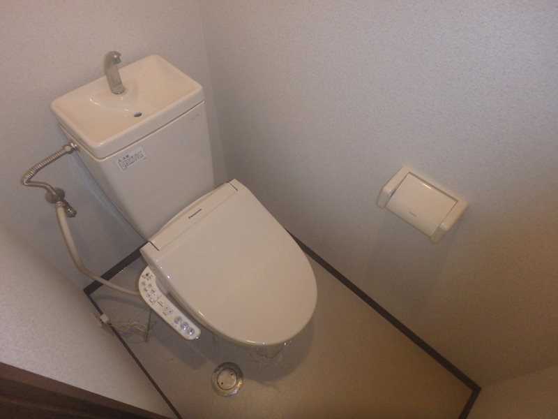 ステラ その他3