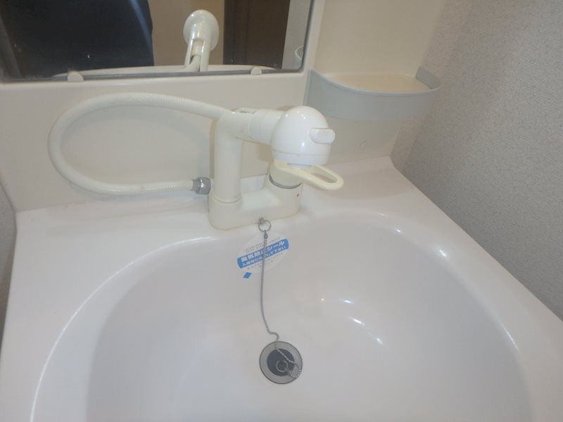 ステラ その他7