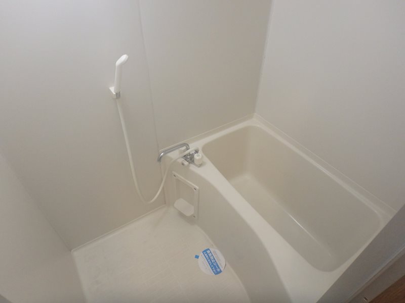 ステラ その他13