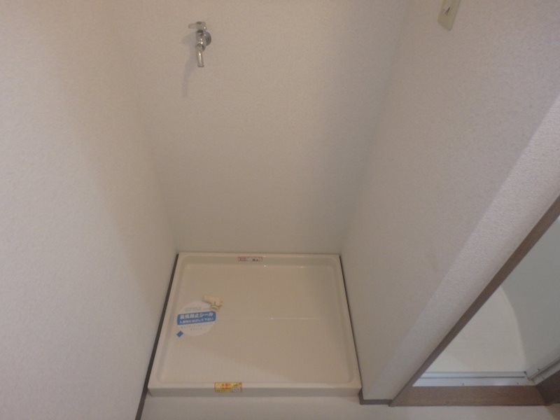 ステラ その他14