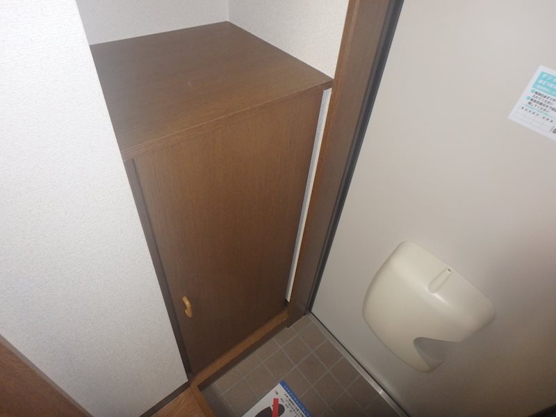 ステラ その他20