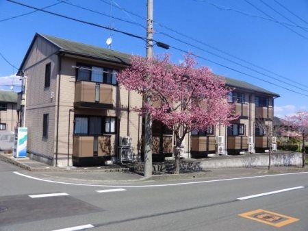 メゾン・ド・リンデン Ｂ 101号室 外観