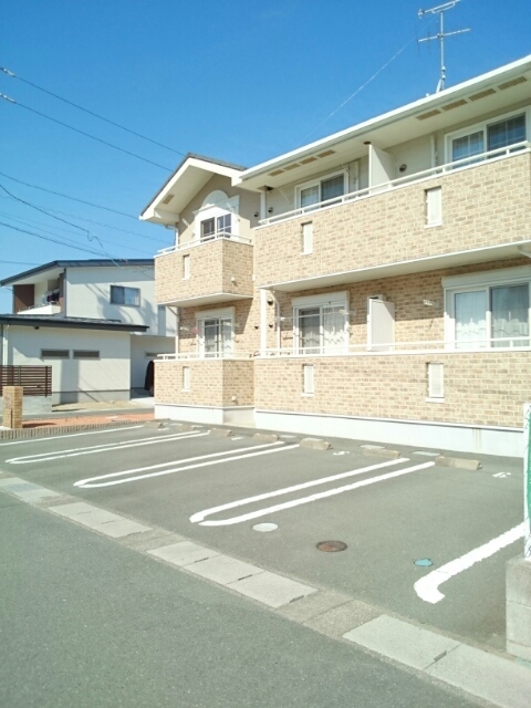 エヴァーグリーン その他5