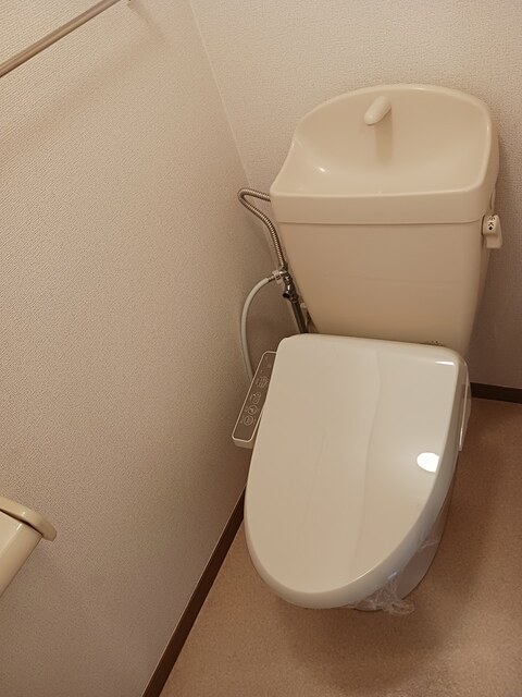 ピチカート　Ａ その他2