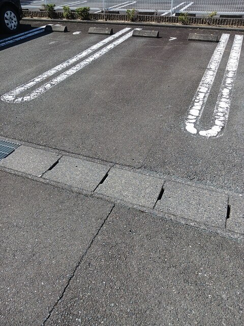 ピチカート　Ａ その他4