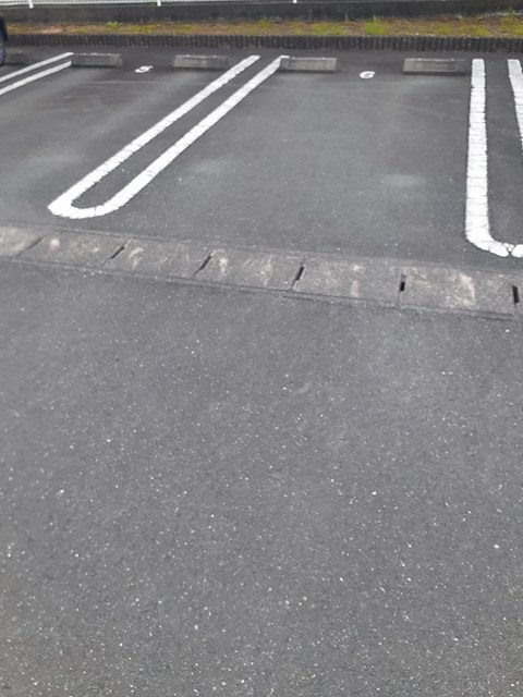 マックス　ビューティー　Ａ その他4